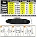 Waist Trainer Belt Waist Cincher Trimmer Slimming Body Shaper Belts Sport Girdle for Women