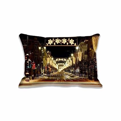 Amazon Com 16 X 24 Pillow Protector Winter Holidays Lights