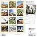 Mountain Biking 2020 12 x 12 Inch Monthly Square Wall Calendar, Extreme Bicycle Sport