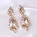 Miraculous Garden Women's Silver Gold Rose Gold Tone Plated Crystal Rhinestone Drop Earrings for Mother's Day (Gold tone plated champagne crystal)