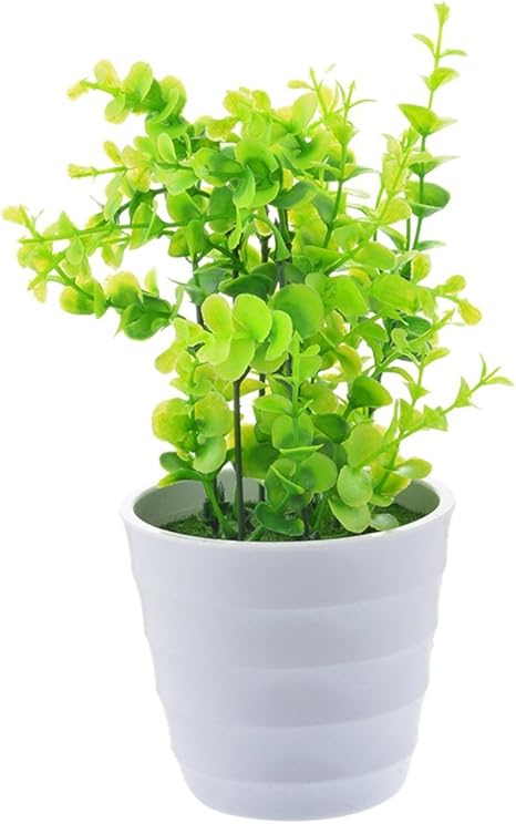 Images Na Ssl Images Amazon Com Images I 61 2bn