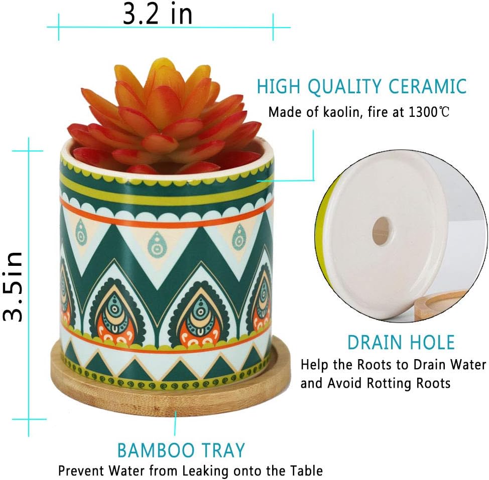 AlpsPro Succulent Plant Pots - 3.5 inch Ceramic Succulent Planter - Small Cylinder Flower Pots for Cactus with Drainage Hole and Bamboo Tray : Garden & Outdoor