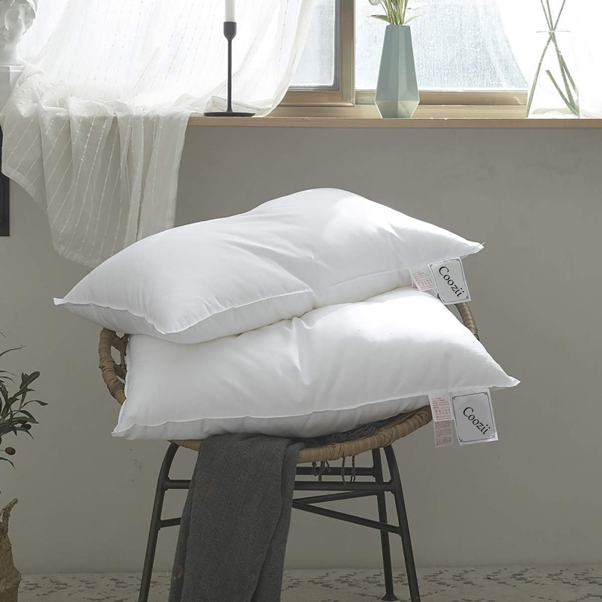 Amazon Com Coozii Luxury White Goose Down Pillow 2 Pack Queen