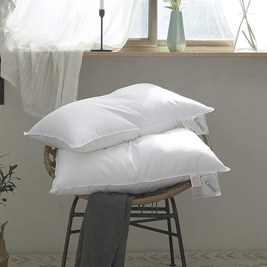 Amazon Com Coozii Luxury White Goose Down Pillow 2 Pack Queen