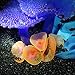 Ray-JrMALL Artificial Fake Resin Coral Wall Water Aquarium Decoration Ornament Blue