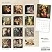 Angels 2017 Square Vine Wall Calendar 12