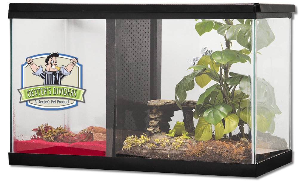 Tank Dividers / Aquarium DÃ©cor On Sale Now! Save up to 7 Alsea Clinic
