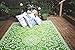 Fab Habitat Outdoor Rug - Waterproof, Fade Resistant, Crease-Free - Premium Recycled Plastic - Floral - Porch, Deck, Balcony, Laundry Room, Patio - Murano - Lime Green & Cream - 3 x 5 ft