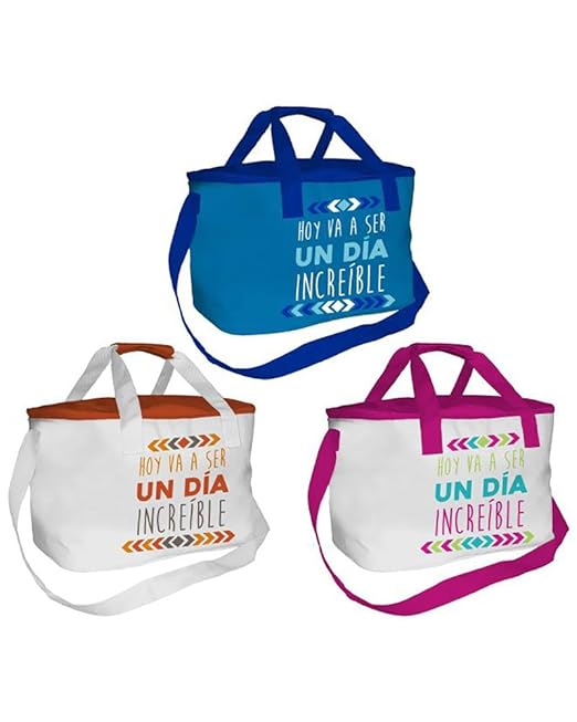 Baggy Bolsa nevera playa 15 litros Día increible: Amazon.es: Hogar