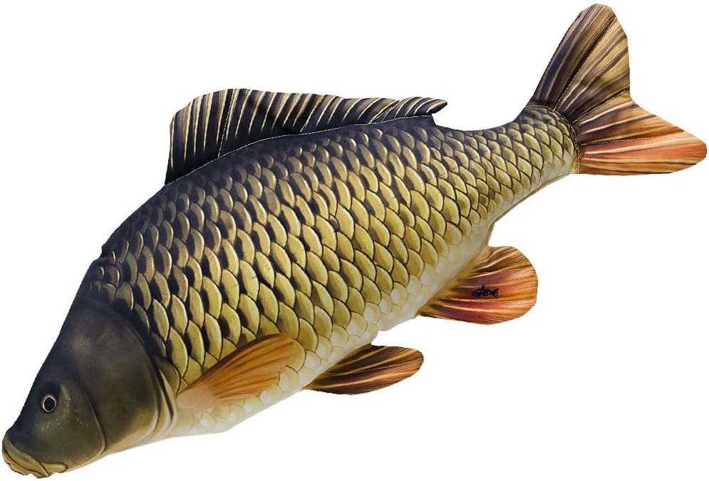 Gaby Fish Pillows Common Carp Giant Amazon Co Uk Sports Outdoors