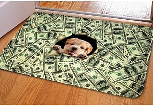 Big Money Dollar Print Indoor Welcome Mat For Bedroom Living Bath Room Fast Dry Nonslip Water Dirt Trapper Floor Entrance Mat Funny Washable Easy Clean Winter Flannel Cute Pet Dog Pattern Doormat
