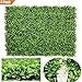 DearHouse 4Pack Artificial Boxwood Panels Topiary Hedge Plants Artificial Greenery Fence Panels for Greenery Walls,Garden,Privacy Screen,Backyard and Home Decor