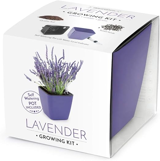 Domestico Kit de Lavanda para cultivar, Lavender growing kit, All ...