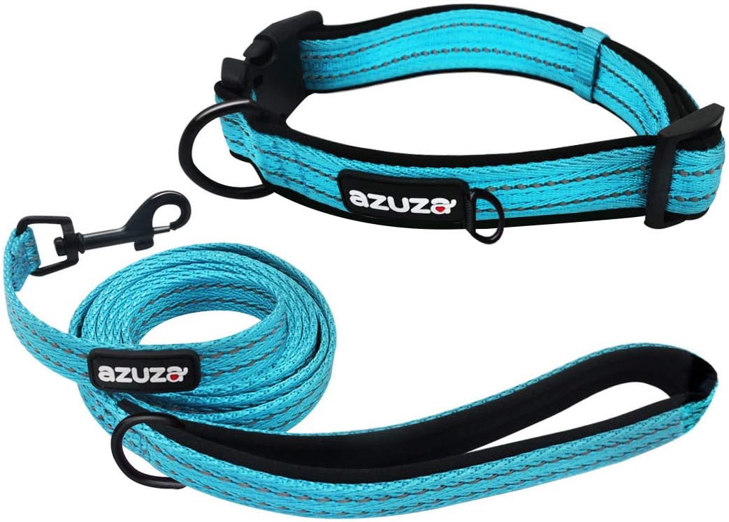 azuza Durable Padded Dog Leash and Collar Set, Reflective Strip Extra Safe and Comfy for Small to Large Dogs