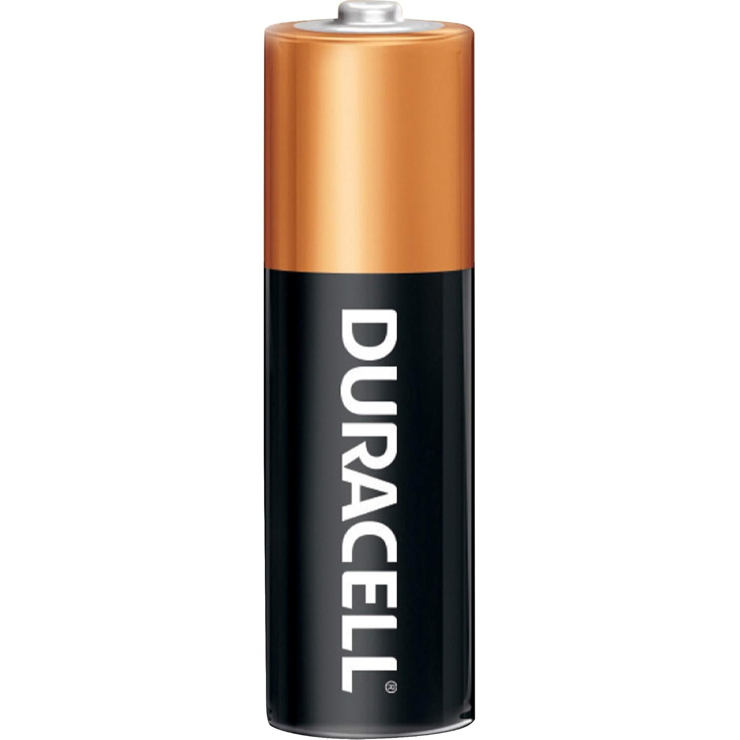 Duracell, MN2400BKD, Standard Battery, AAA, Alkaline, PK24: Health & Personal Care