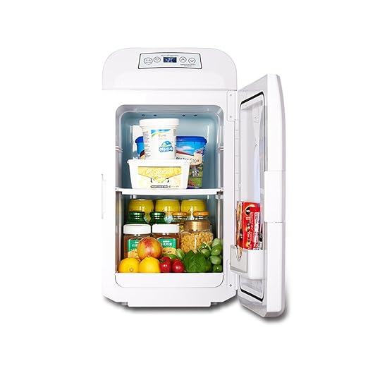 YQQ-Refrigerador de coche 35L Mini Nevera Caja Fría Portátil ...
