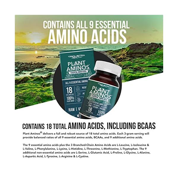Plant Aminos Organic Essential Amino Acids (EAAs) & BCAA 100 Plant