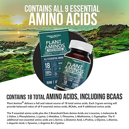 Plant Aminos Organic Essential Amino Acids (EAAs) & BCAA 100 PlantBased Raw, Vegan All 9