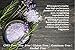 Natural Deodorant Stick Aluminum Free Lavender 2.9 oz Healthy Deodorant | GMO-Free | 100% Non-Toxic Deodorant | All Day Protection | Non Irritating | Non Sticky | Great Smelling Lavender Scent