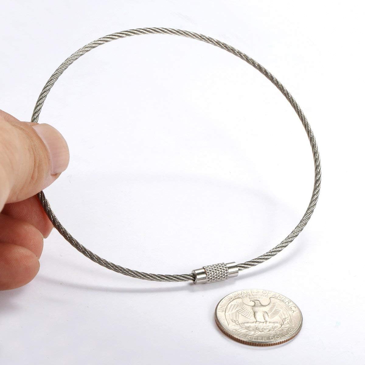 bayite Pack (100) Stainless Steel Wire Keychains Cable, Key Rings, Heavy Duty Luggage Tags Loops Tag Keepers 2mm Twist Barrel (Cable Length: 10 inches) : Office Products