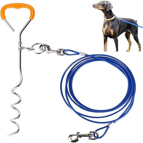 When dogs tie Clearance