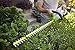 EGO Power+ 24-Inch 56-Volt Lithium-ion Cordless Hedge Trimmer - 2.0Ah Battery and Charger Kit
