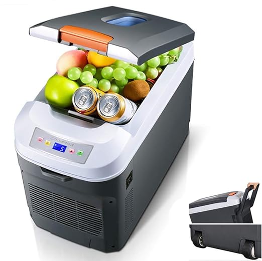 WXJWPZ Refrigerador Termoeléctrico De 35L 12v 230v 24V Nevera ...