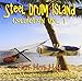 Steel Drum Island Collection: Hot Hot Hot & More O