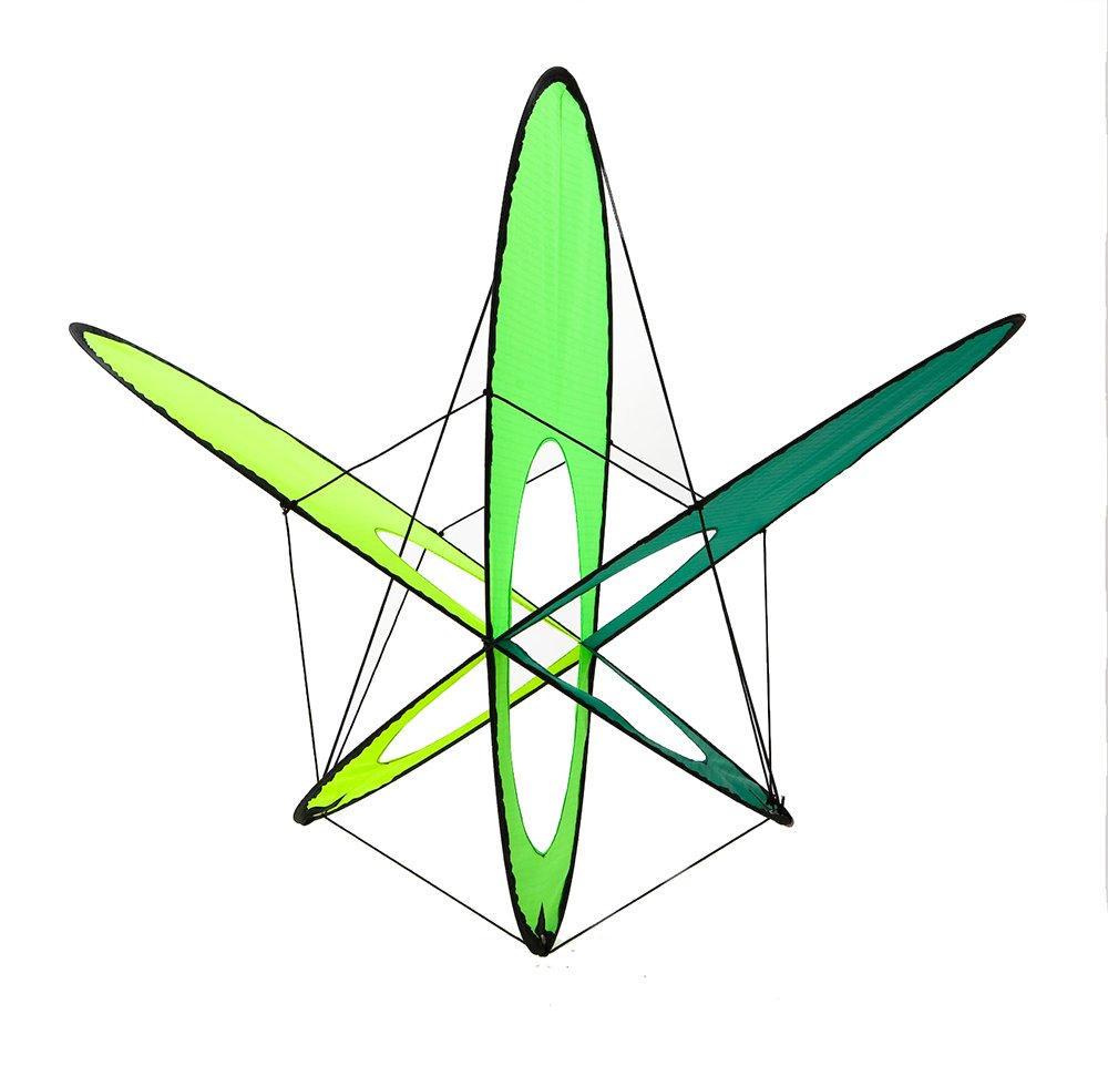 Prism Eo Atom Box Kite Buy Online In Mauritius At Desertcart 21093696