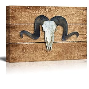 Rustic Buffalo Horn Wall Decor