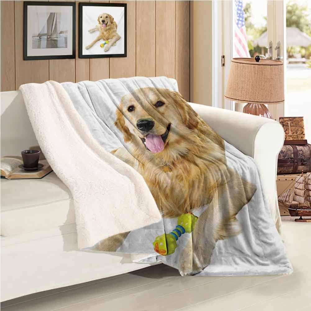 Golden Retriever Sofa Chair Blanket Twin Size, Pet Dog Laying Down with Toy Friendly Domestic Puppy Playful Companion Decorative Sofa Blanket 59 x 78 inch, Multicolor