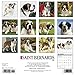 Just Saint Bernards 2018 Calendar