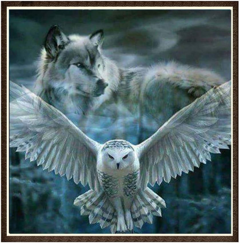 Amazon Com Kpop Space Diamond Painting Diy 5d Cross Stitch Kits Animal Serial Diamond Embroidery Arts Craft For Home Wall Decoration Wolf And Flying Owl Multicolor Paintings
