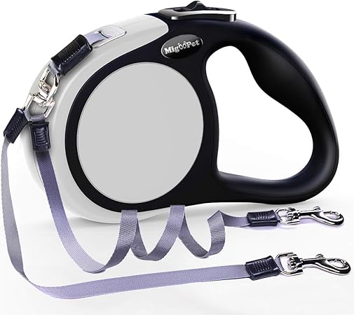 bringing a puppy home uk