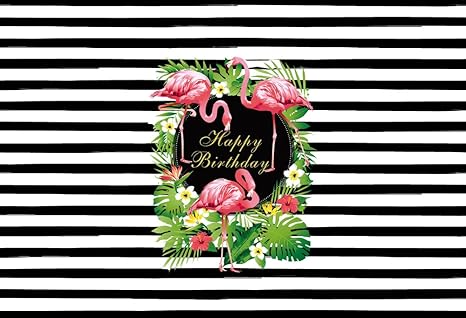 Amazon Huayi 6 5 X 5フィート ウェディング背景 ベビーバースデーバナー フラミンゴ ビニール背景 ポリエステル 白黒ストライプ 背景 写真背景 ローズフラワー背景 W 302 バックペーパー 背景布 通販