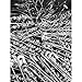 Homder 400 PCS Safety Pins for Quilting and Knitting,38mm