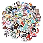 Laptop Stickers [100 pcs], Bezgar Car Stickers Motorcycle Bicycle Luggage Decal Graffiti Patches Skateboard Stickers for Laptop - Random Sticker Pack