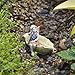 1 X Miniature Garden Fairy Diana
