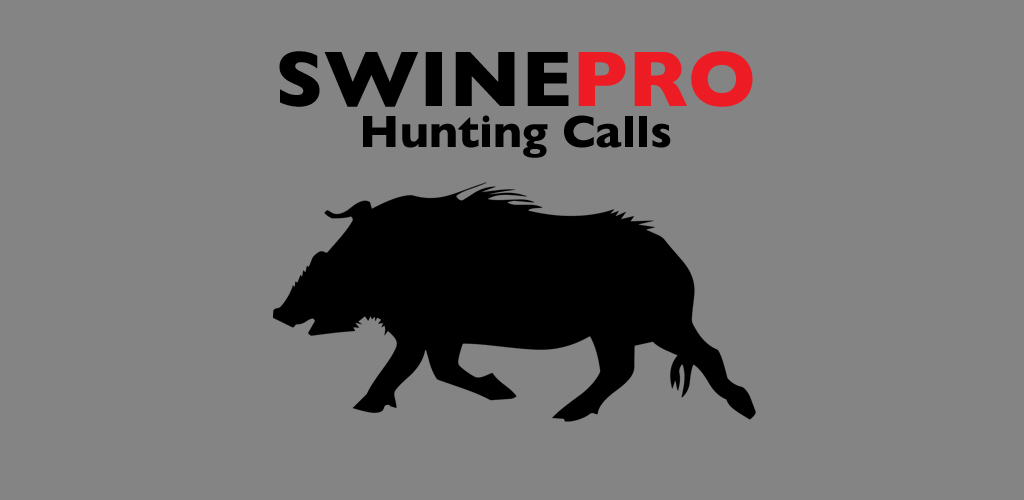 Wild Swine Calls for Hunting Swines and Hog Hunting Calls