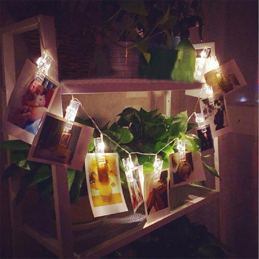 Best fairy garden motorcycle