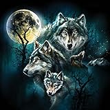 Wolf Family Collage a 500-Piece Jigsaw Puzzle by Sunsout Inc.