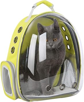 cat transparent backpack