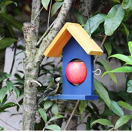 Amazon Com Ldx Outdoor Bird Feeder Fruit Feeder Bird