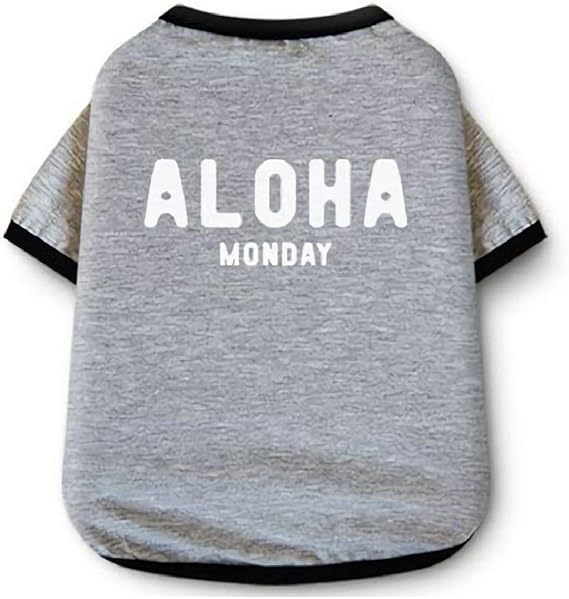 Amazon Co Jp Plus Nao プラスナオ ドッグウエア Tシャツ 犬 小型犬 ロゴt ペット服 パイピング 英字 クルーネック お出掛け お散歩 春 夏 半袖 カジュ 服 ファッション小物