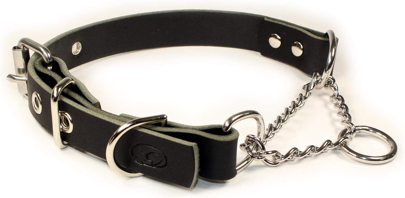 leather and chain dog collar