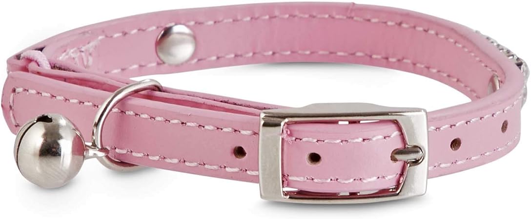bond & co kitten collar