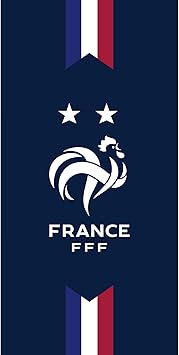 Ballon France T.5 Bleu - 710920E | la boutique FFF