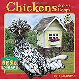 Chickens & Their Coops 2017 Wall Calendar by Amber Lotus Publishing