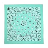 CTM Pastel Paisley Bandanas