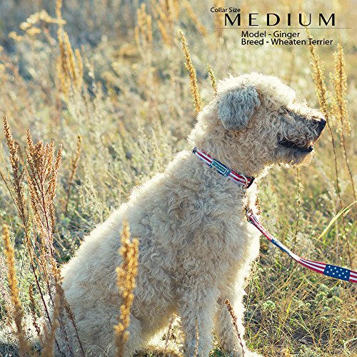 American Flag Dog Collar in 5 different sizes (Medium)